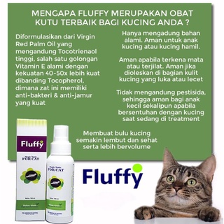 Jual Obat Kutu Kucing Fluffy Cat Pembasmi Kutu Pasir Tumo Pinjal Jamur ...