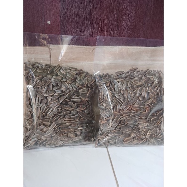 

Kwaci Biji bunga matahari