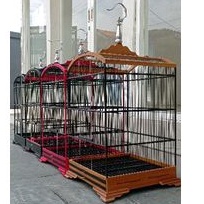 sangkar kosan 40x40 kayu jati ruji kecil