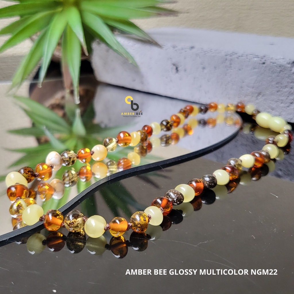 Kalung Amber Bayi Tumbuh Gigi Premium Glossy Multicolor NGM022 New By Amber Bee