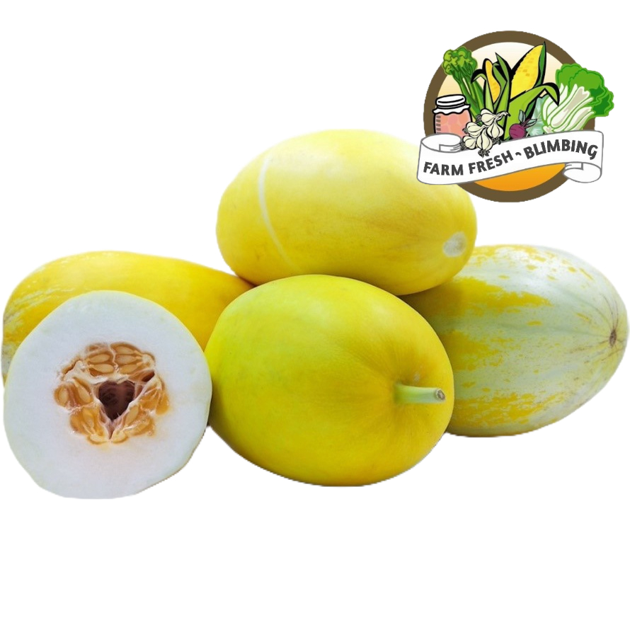 

Timun Suri 1 pcs
