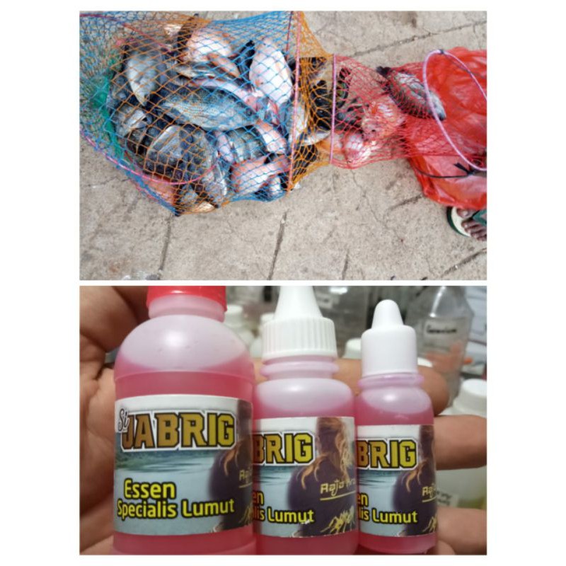 Essen jitu danau ikan nila mujaer lumut