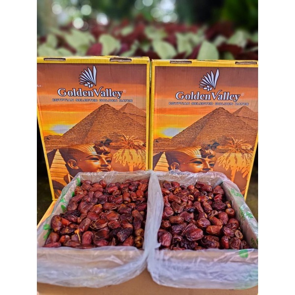 

Kurma Mesir Golden Valley 10kg | Kurma Mesir golden valley