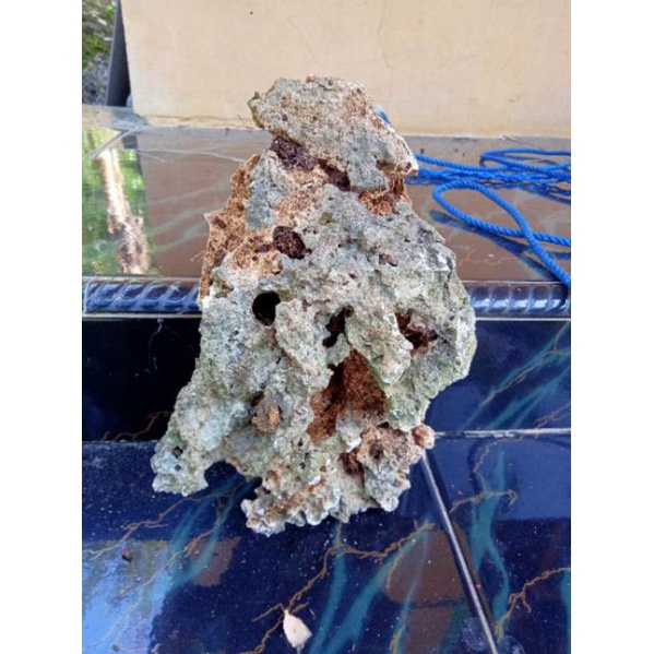 batu karang  gunung untuk bonsai dan Aaquascape