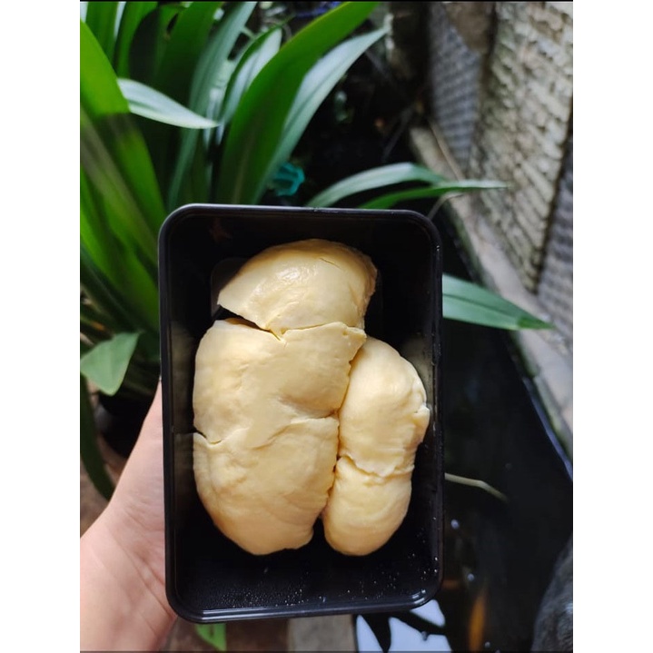 

Durian Montong