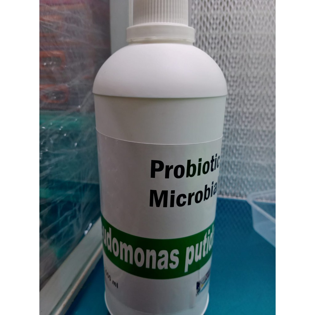Pseudomonas putida