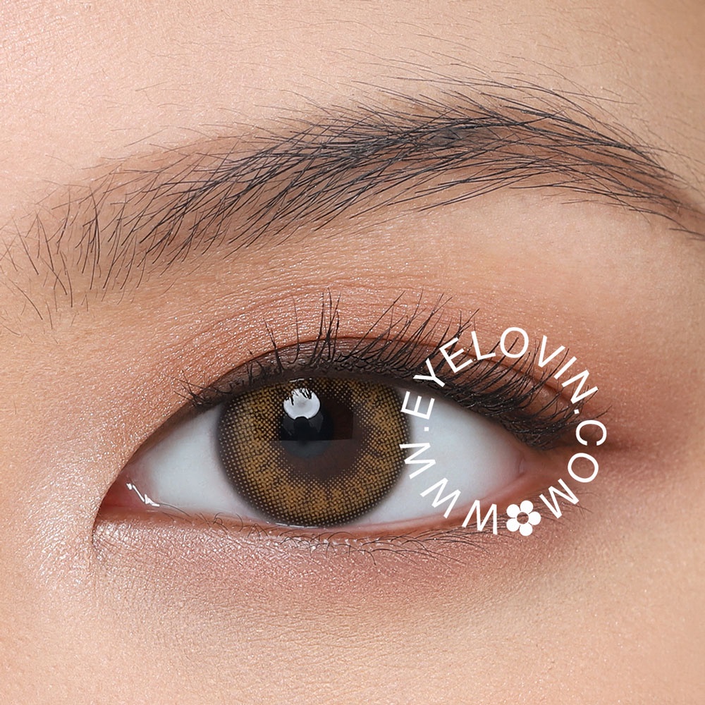 Eyelovin Softlens Mite Clair Pure Moist - Gaia Brown