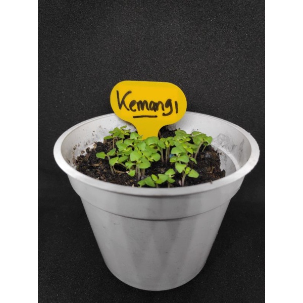 Label Tanaman Anti Air Name Tag Plant Waterproof