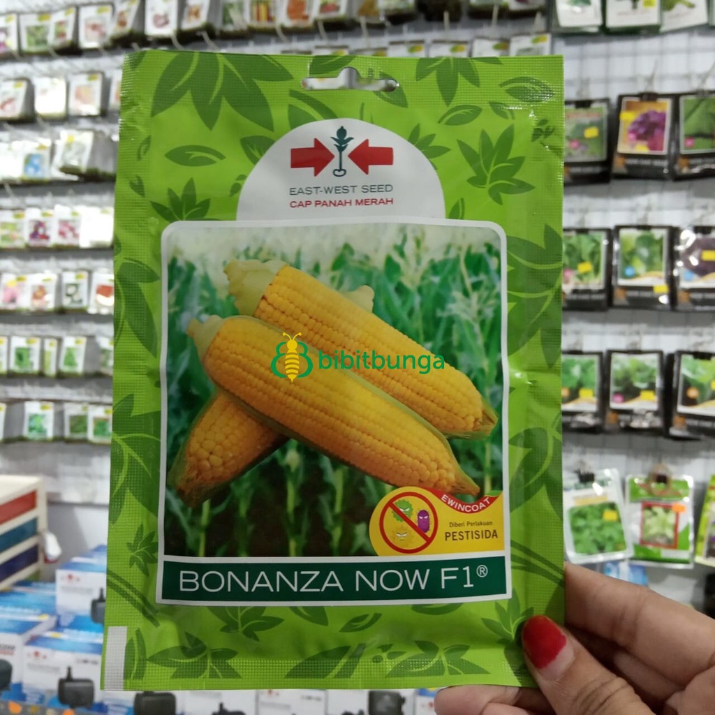 Benih Bibit Jagung Manis Unggul Kuning Bonanza Now F1 200 Biji Bonansa