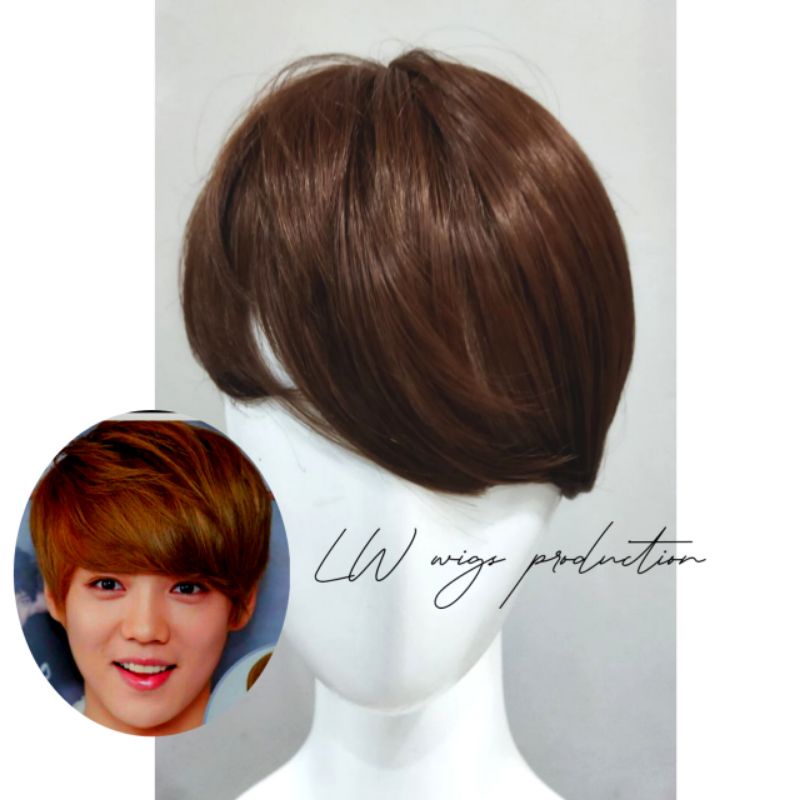 Wig Pria Pendek Murah Warna Coklat
