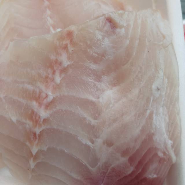 

Fillet ikan Kakap