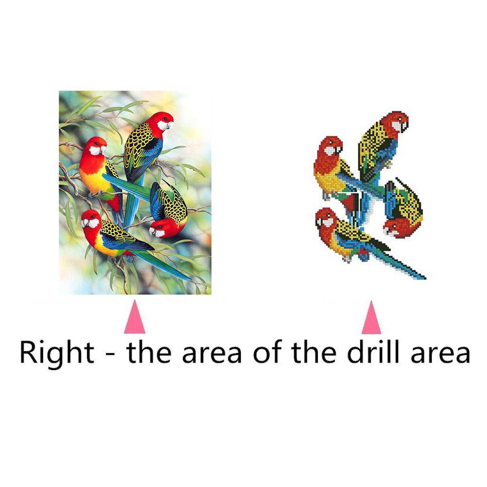 Diy Lukisan Diamond 5d Dengan Gambar Burung Dan Hiasan Berlian