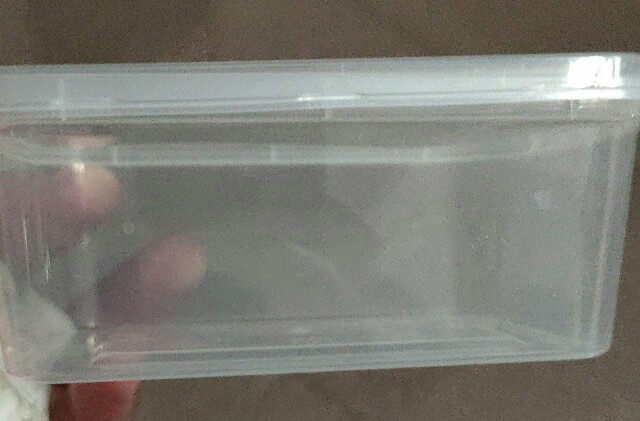 25pc 300ml Kotak Mini Rec + Tutup Thinwall Box Toples Plastik Kecil Food Grade 300 Ml Microwave Oven