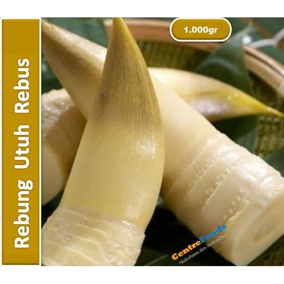 

Rebung Bambu Muda Rebus - Tubis Rebus | 1.000gr [ Harga Per KG ]