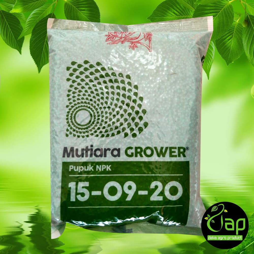 PUPUK MPK MUTIARA GROWER 15-09-20 1KG Meroke Fase Pembuahan