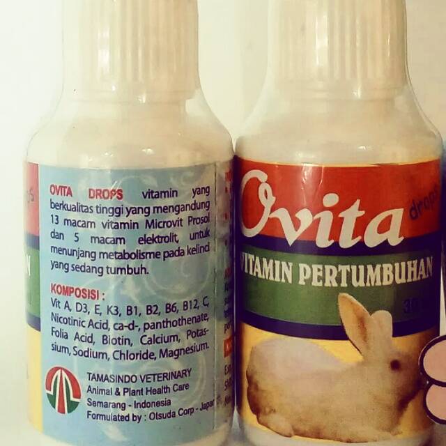 Vitamin Kelinci Untuk Pertumbuhan OVITA