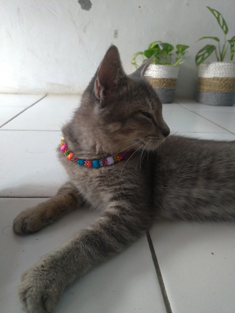 Kotak Tisu Kayu / Tempat Tisu Kayu Multifungsi