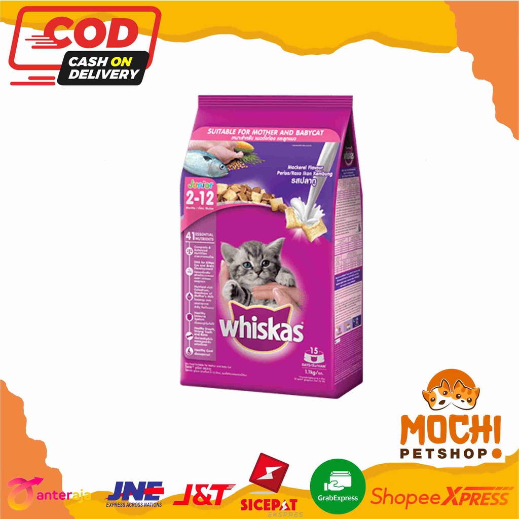 Jual WHISKAS JUNIOR MACKEREL 1.1kg Freshpack Makanan Anak Kucing Kering