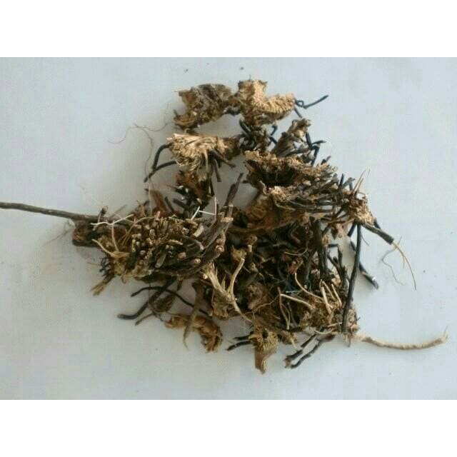 

10 G 50 GR 100 GRAM 威灵仙 WEI LING XIAN RADIX CLEMATIDIS SWEET AUTUMN CLEMATIS ROOT