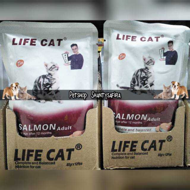 MAKANAN KUCING LIFE CAT KITTEN &amp; LIFE CAT ADULT POUCH 85 GR LIFECAT setara whiskas