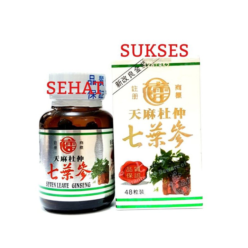 Seven Leave Ginseng - Tian Ma Tu Chung - Obat Rematik, Nyeri Sendi&amp;Pegal linu,Asam Urat