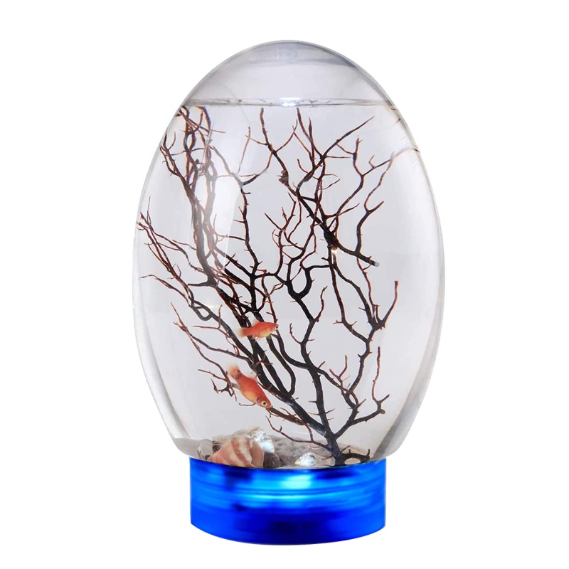 Mary 19x8.2cm/7.48x3.23in Tutup Ekosistem Air Desain Transparan Sederhana Ikan Mini Ringan Untuk Tank Untuk Rumah/Off