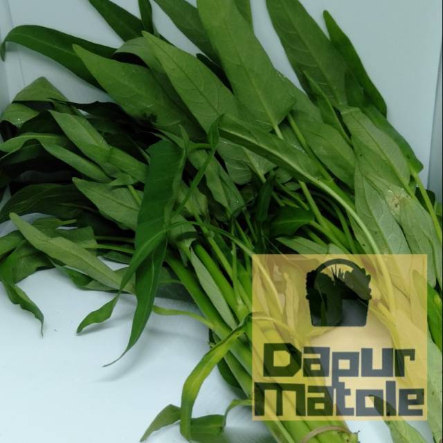 

Daun kangkung 1 ikat