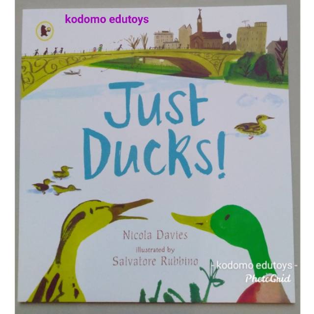 Just Ducks by Nicola Davies, Salvatore Rubbino , Buku Impor Anak