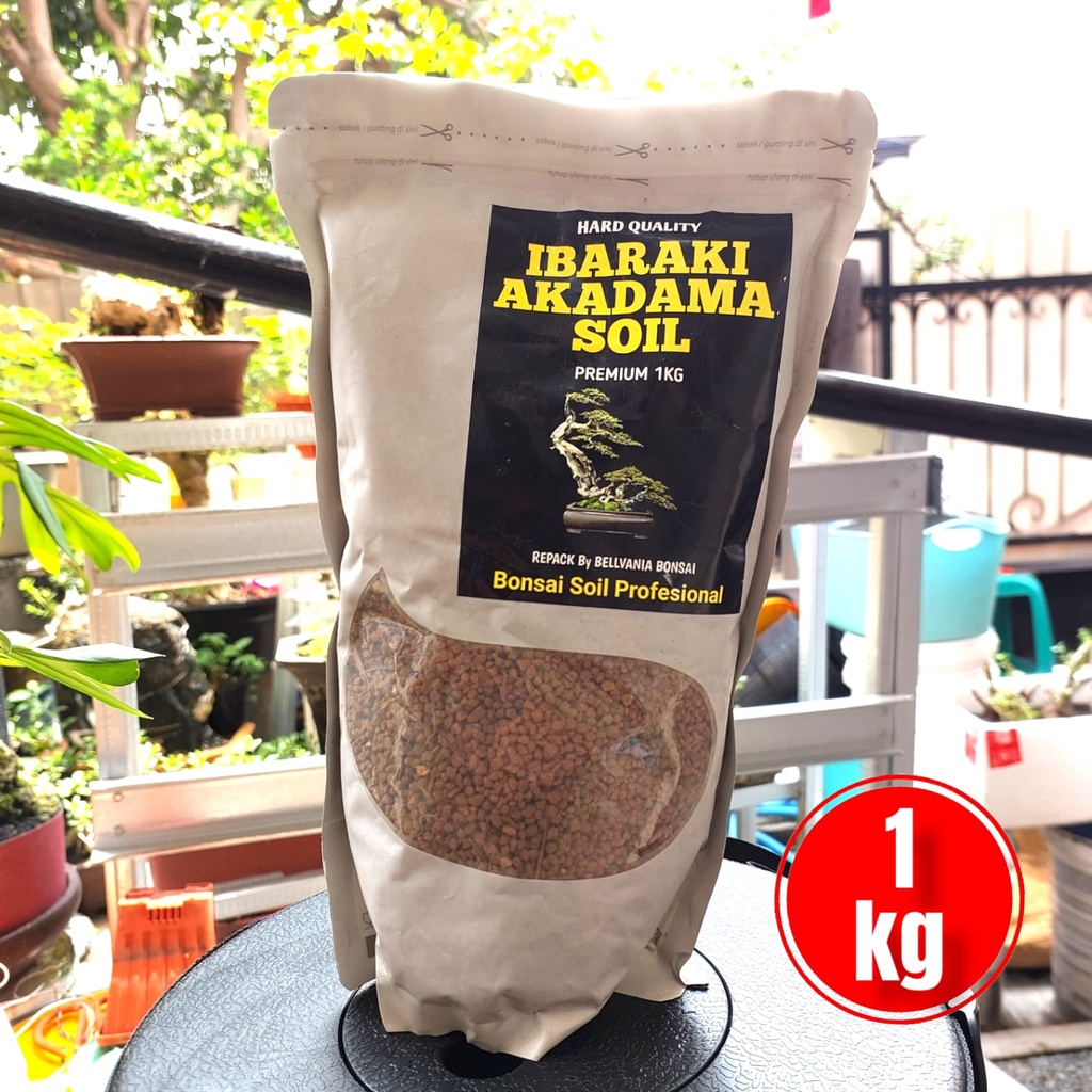 Akadama Soil Tipe Halus Untuk Bonsai Soil Dan Sukulen 1 Kg Repack