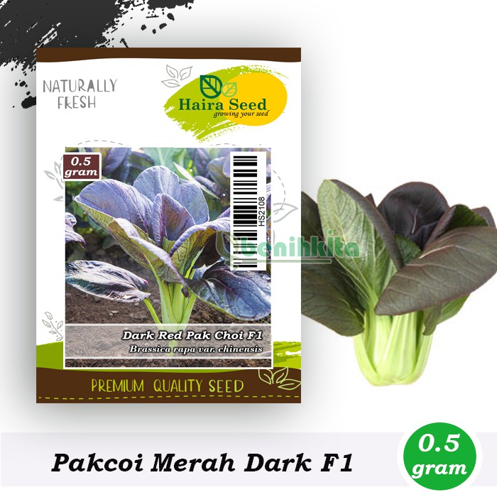 Benih-Bibit Sawi Pakcoy Merah/Dark Red F1 (Haira Seed)