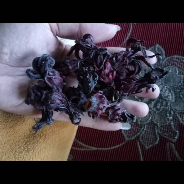 

Roselle (Hibiscus sabdariffa) Rosela Rosella ungu kering