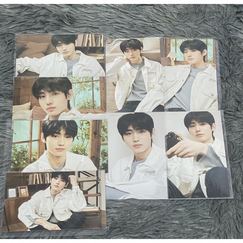 pc tc trading card enhypen sunghoon set