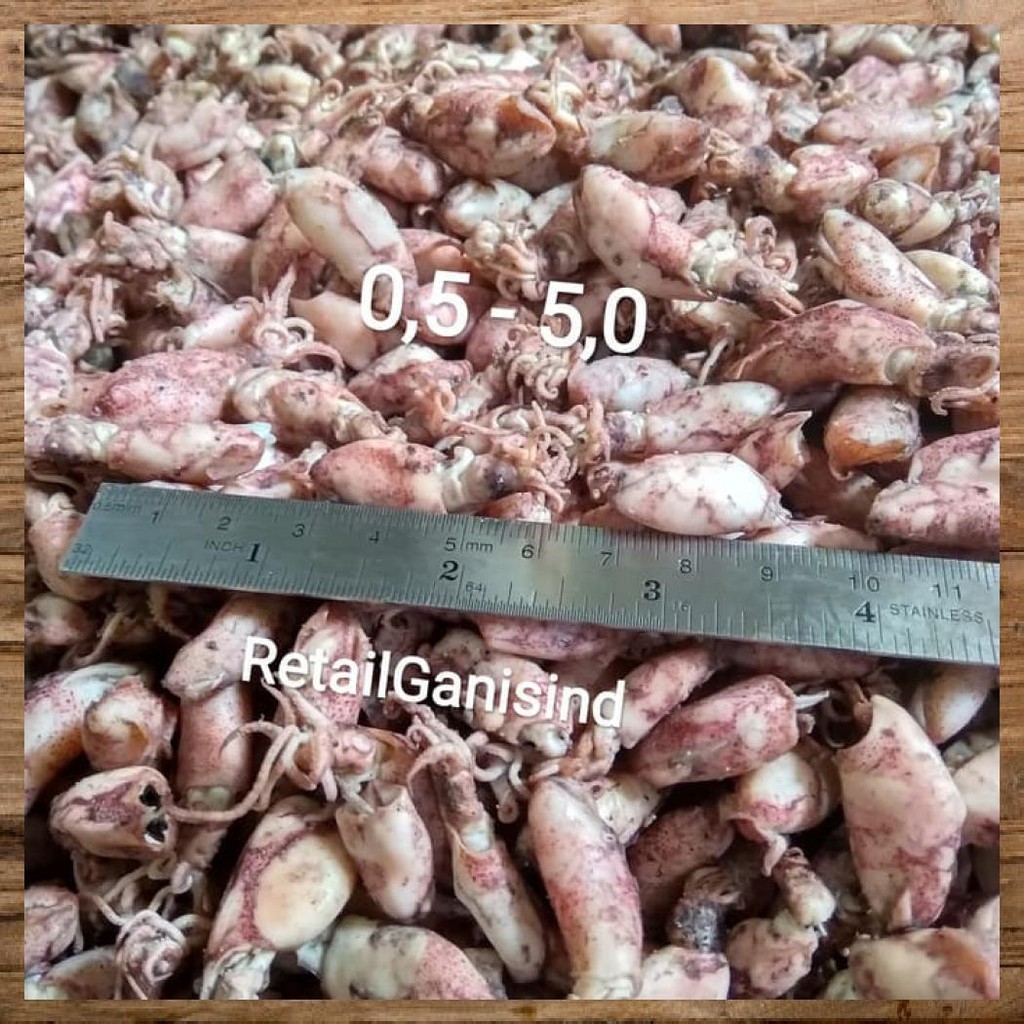 

BABY CUMI 250GR BABY CUMI ASIN CUMI BABY 250GR CUMI BABY ASIN 250GR