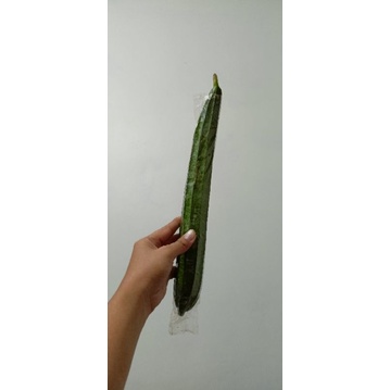 

Oyong 1pcs