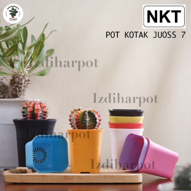 pot bunga tanaman nkt kotak juoss 7cm - NKT KOTAK 7 MERAH BATA