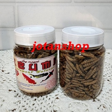 AZUMI DRY MAGGOT MAGOT 40 gram Ulat ulet Kering makanan pakan predator reptil ikan hias Koki Koi Oscar