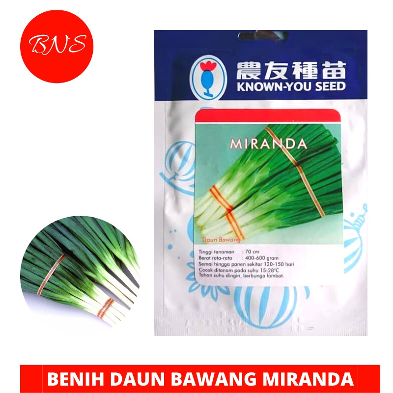 Benih Daun Bawang MIRANDA (isi 5 gr) - Known You Seed Berkualitas Banuata-0
