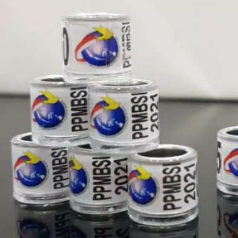 RING MERPATI PPMBSI 2021