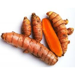 

Kunyit Fresh 1kg