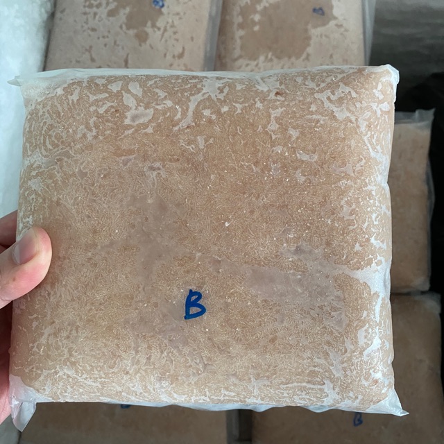 

IKAN TENGGIRI BL GILING SUPER