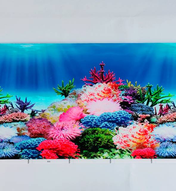 Gambar background hiasan dinding Aquarium tinggi 30cm panjang 1 meter (RANDOM)