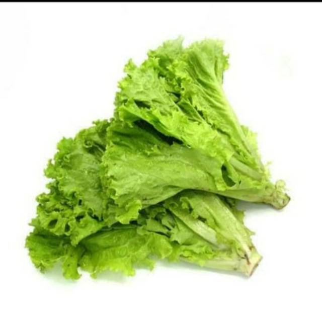 

Selada Keriting/ 200Gr