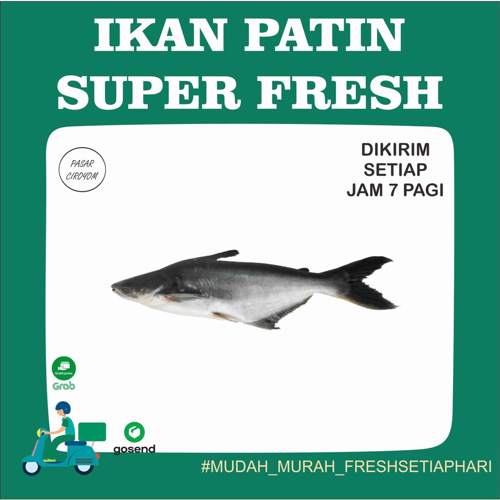 

IKAN PATIN FRESH MURAH BANDUNG 500g