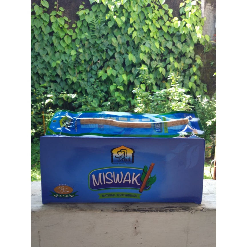 Siwak Miswak Al Khair kecil 6&quot; ECER