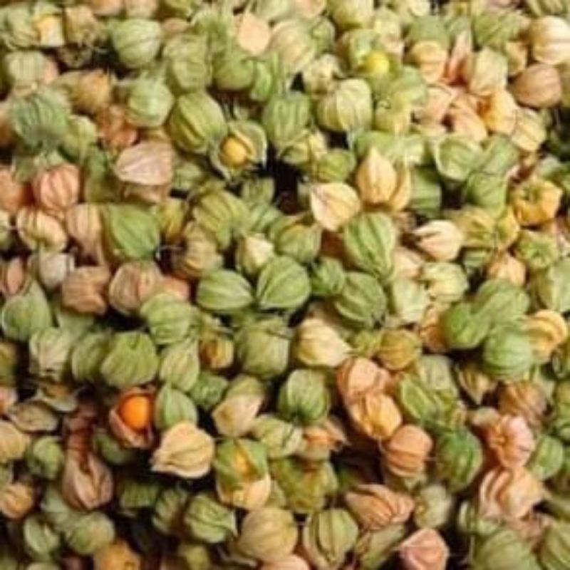 

ciplukan/cecenet/golden bery 500g