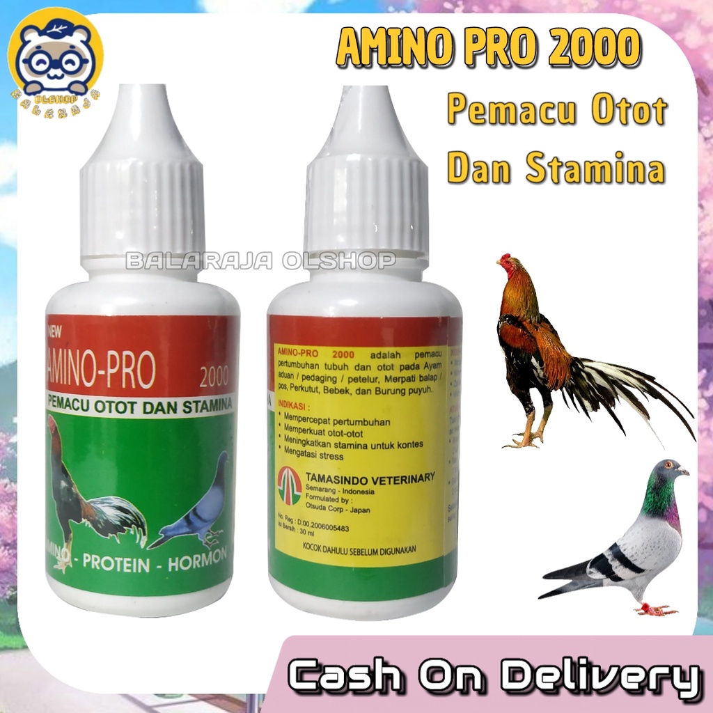 VITAMIN AYAM JAGO PENAMBAH NAFSU MAKAN OBAT BURUNG DARA MERPATI AMINO PRO 2000