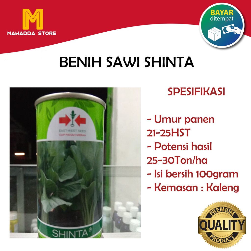 Biji Sawi Shinta Kaleng