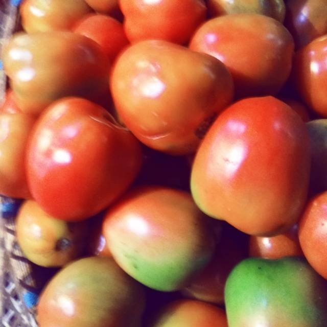 

Jual tomat segar min 500gram