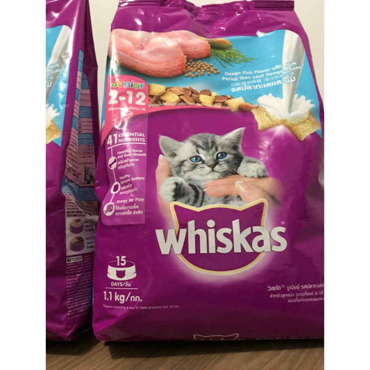 Whiskas Junior 1 1 Kg Makanan Kucing Kitten Kering Freshpack