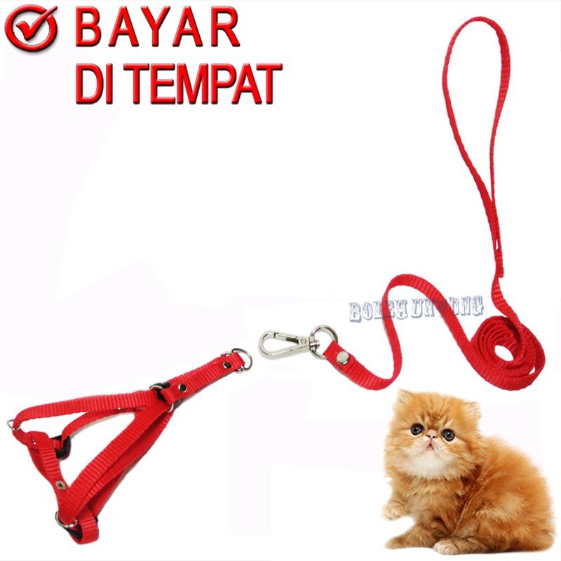 Tali Tuntun Harness Y Kucing Musang Oter Puppy Monyet Pengikat Hewan